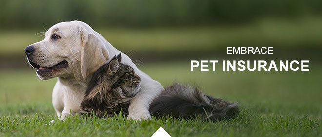 Embrace Pet Insurance